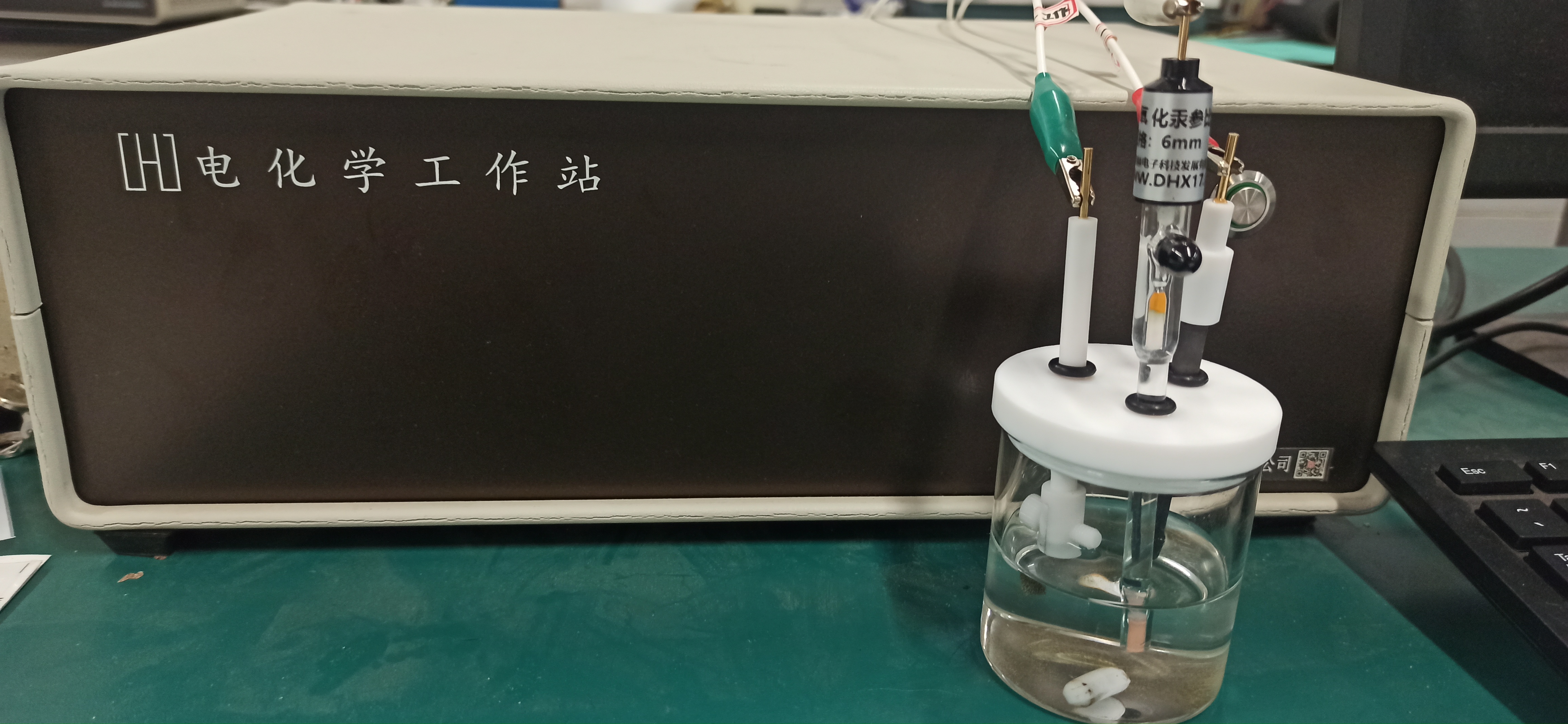 将各电极连接到电化学工作站上